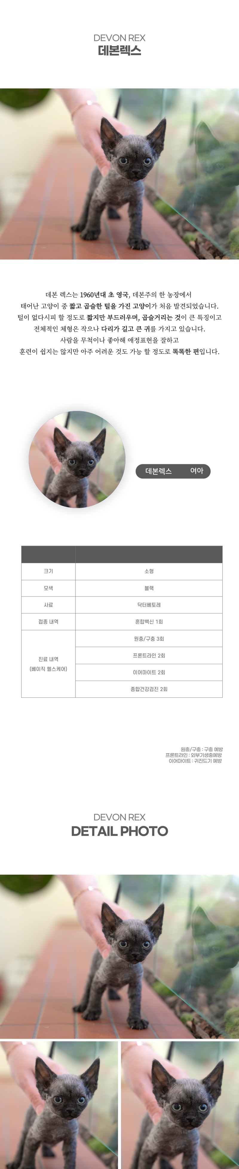 데본렉스_상세이미지_2