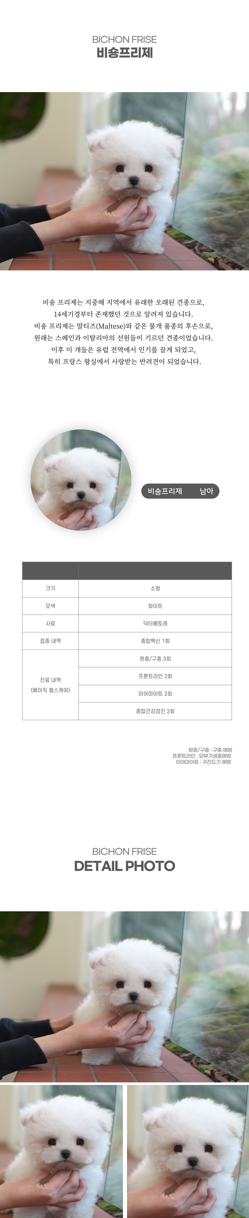 미니비숑_상세이미지_2