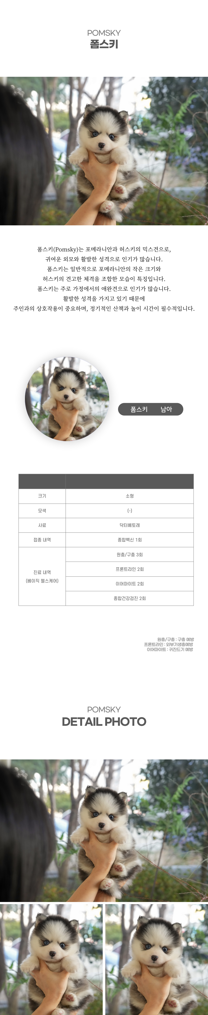 폼스키_상세이미지_2