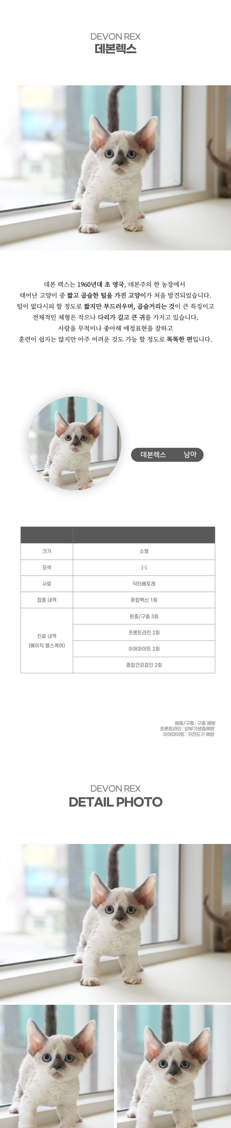 데본렉스_상세이미지_2