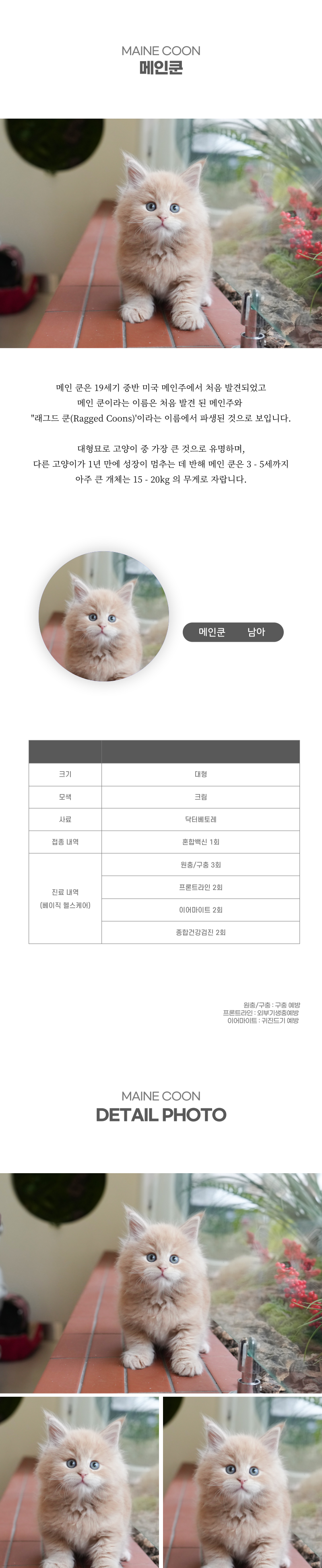 메인쿤_상세이미지_2