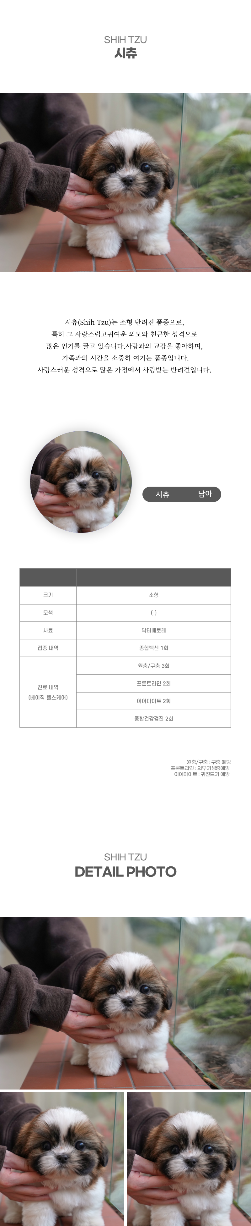 시츄_상세이미지_2