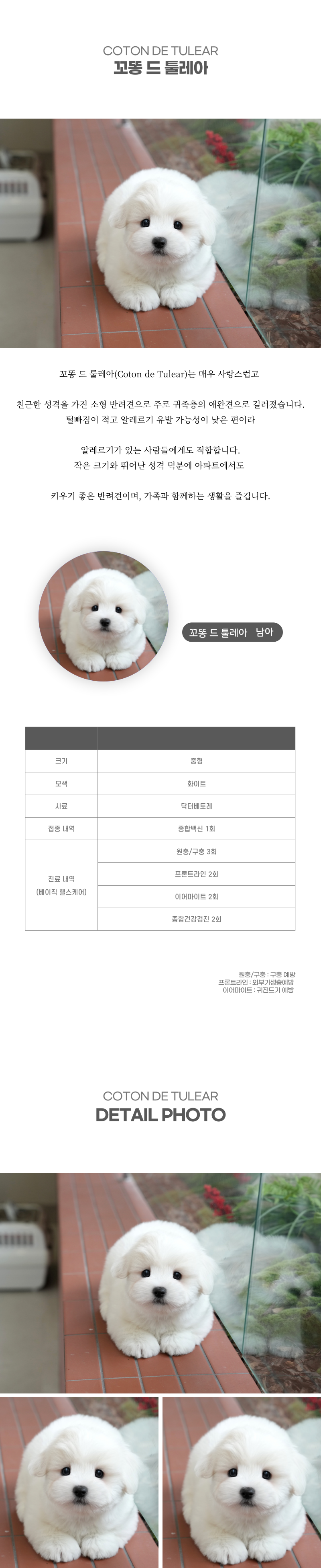 꼬똥_상세이미지_2