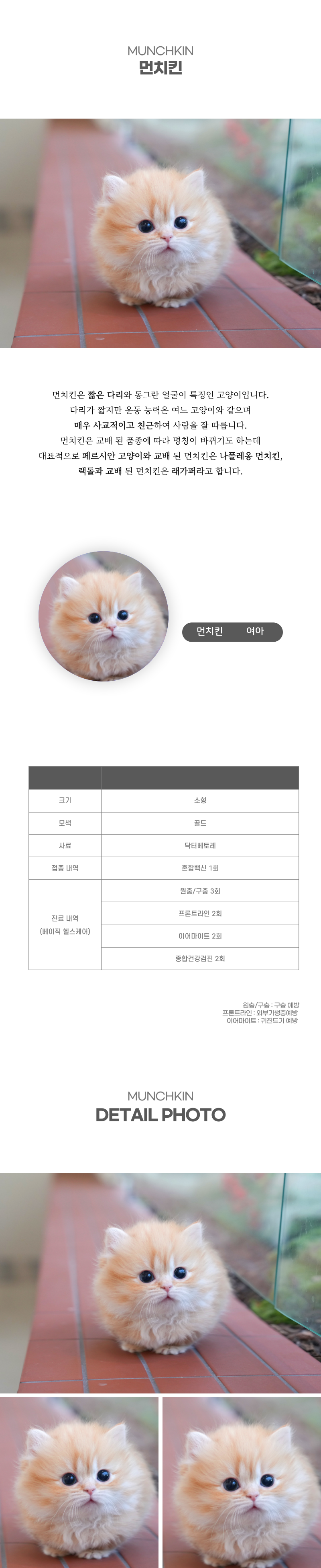 먼치킨_상세이미지_2