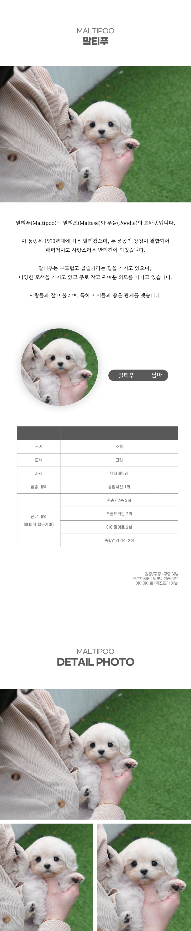 말티푸_상세이미지_2
