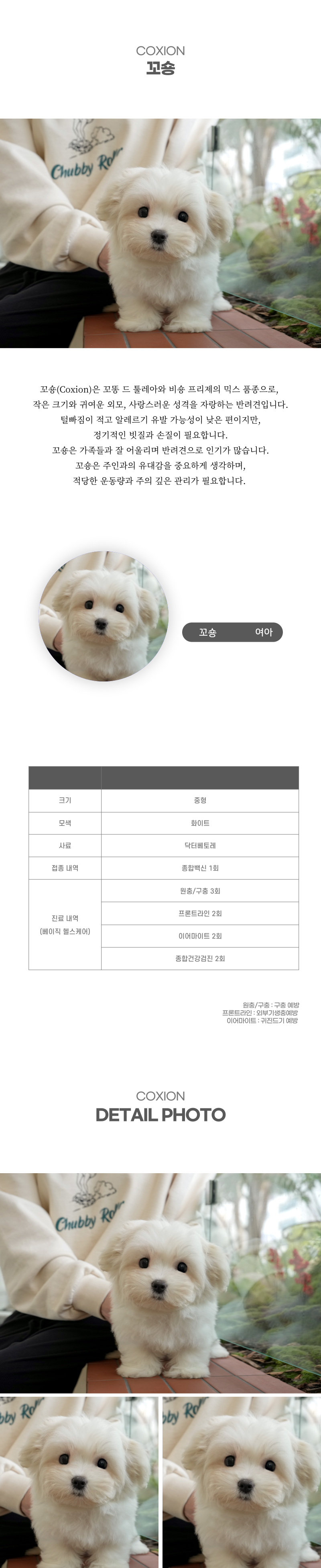 꼬숑_상세이미지_2