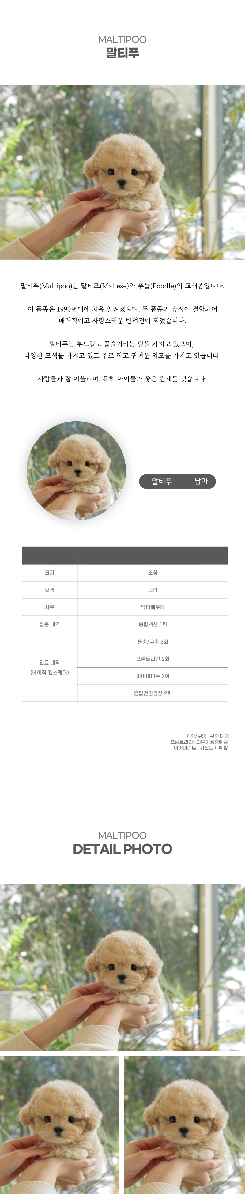 말티푸_상세이미지_2