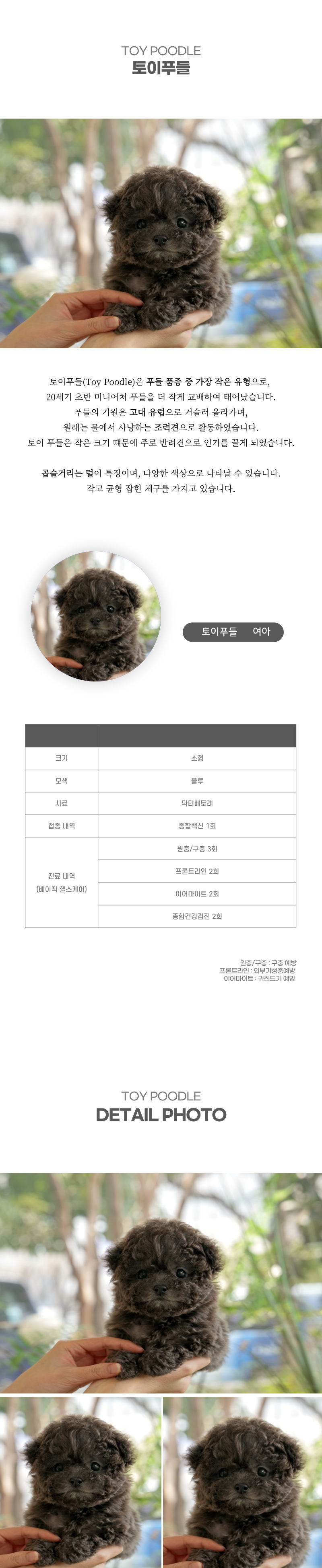토이푸들_상세이미지_2