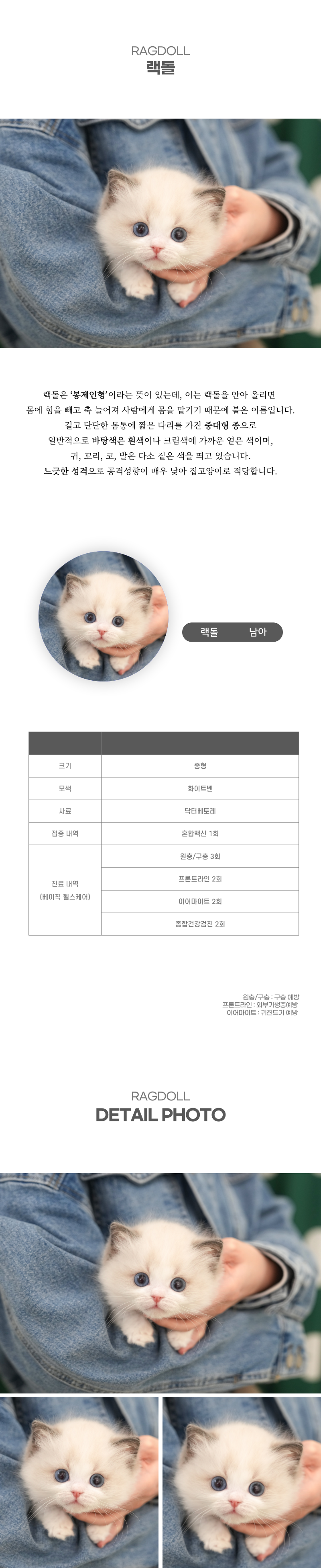 랙돌_상세이미지_2