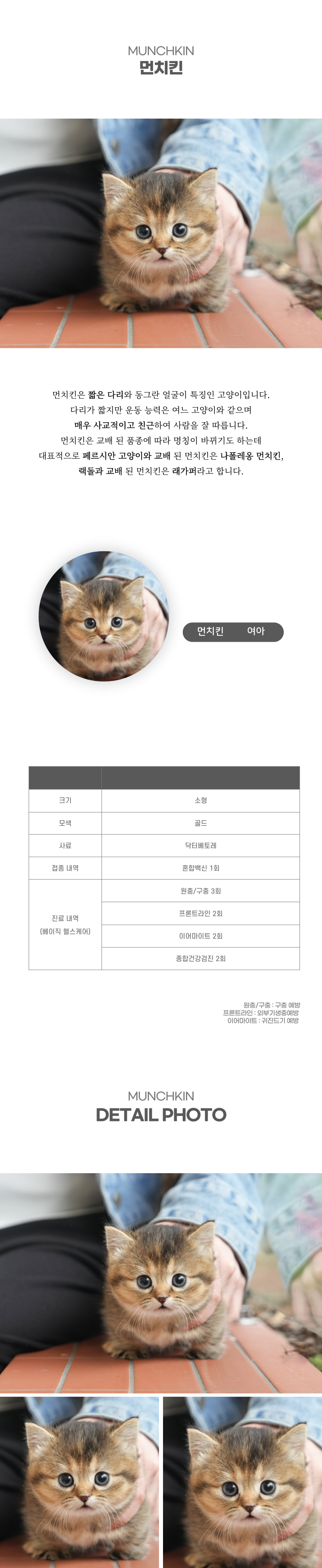 먼치킨_상세이미지_2