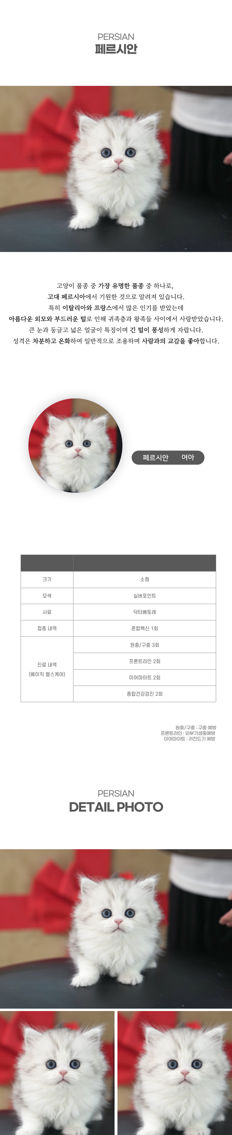페르시안_상세이미지_2