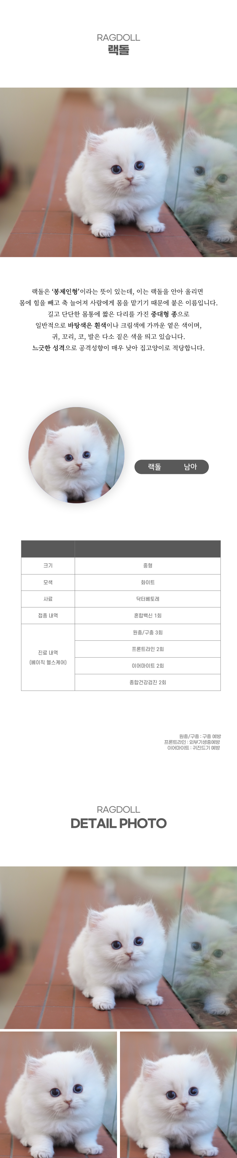 랙돌_상세이미지_2