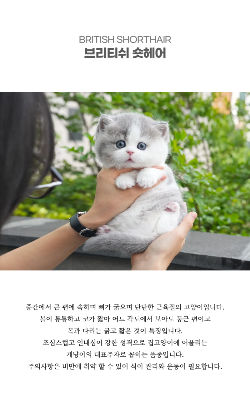 곰곰이_상세이미지_2