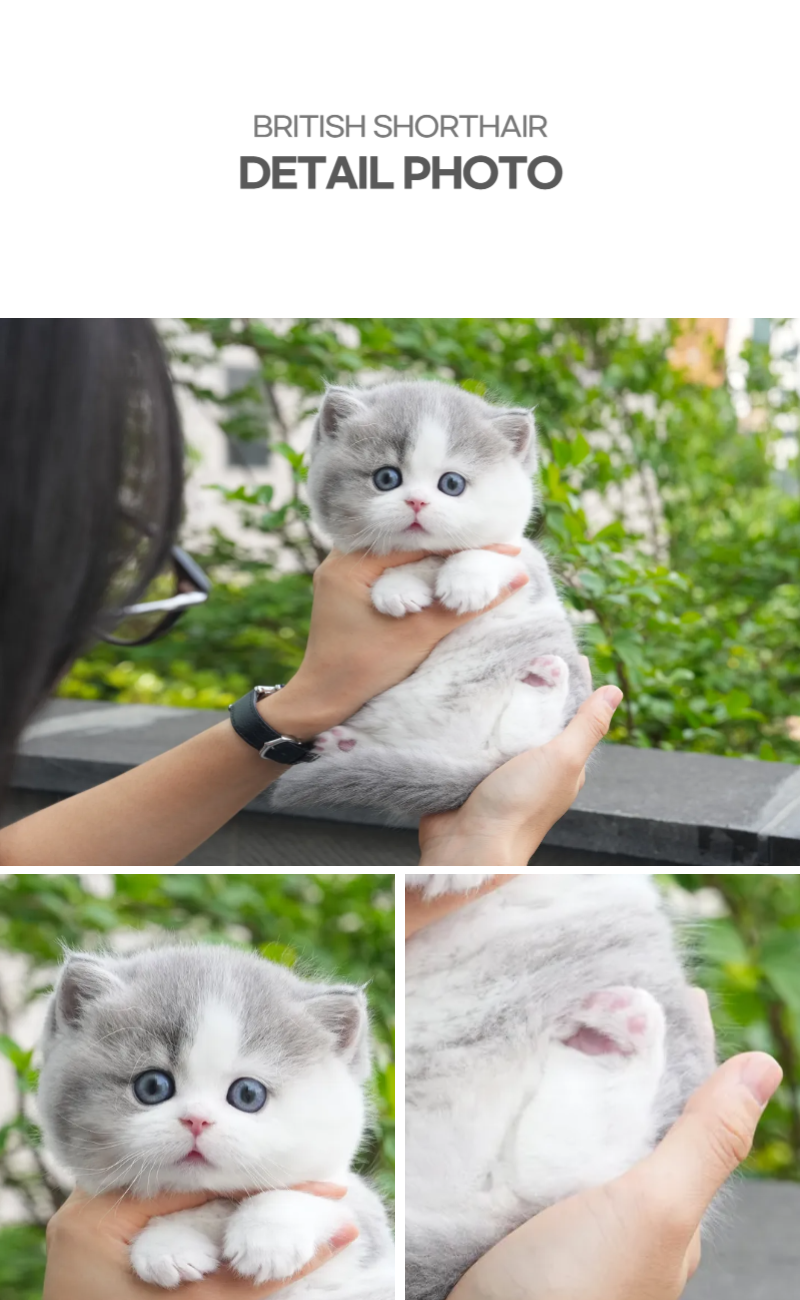 곰곰이_상세이미지_4