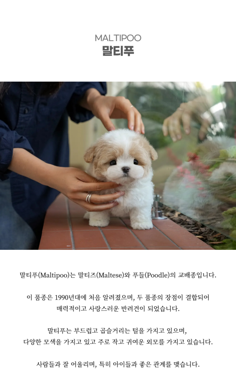 뚱이_상세이미지_2