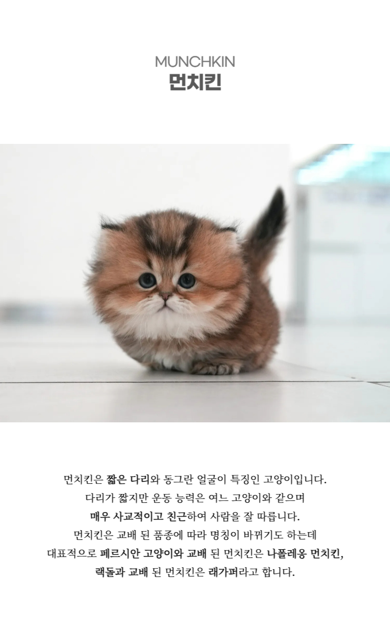 키로_상세이미지_2