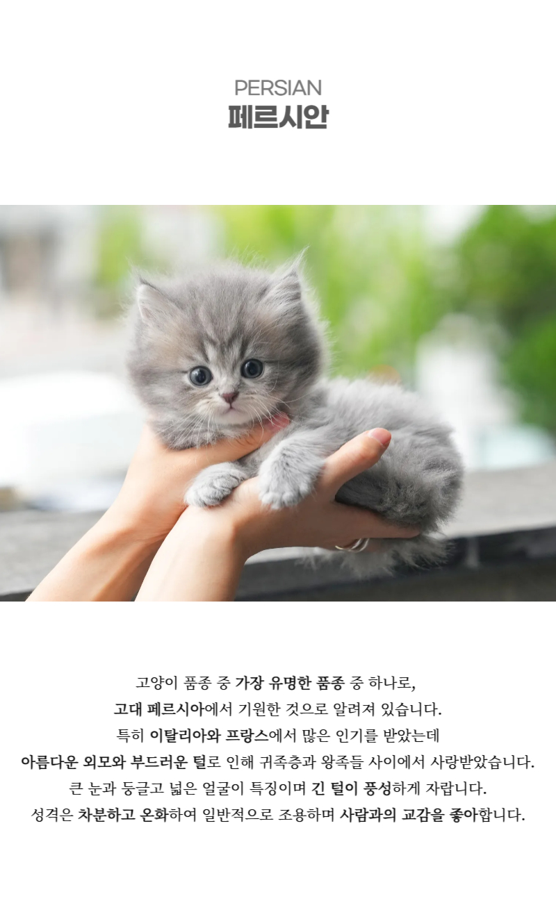 꼬롱이_상세이미지_2