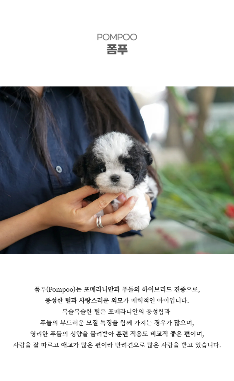 오레오_상세이미지_2