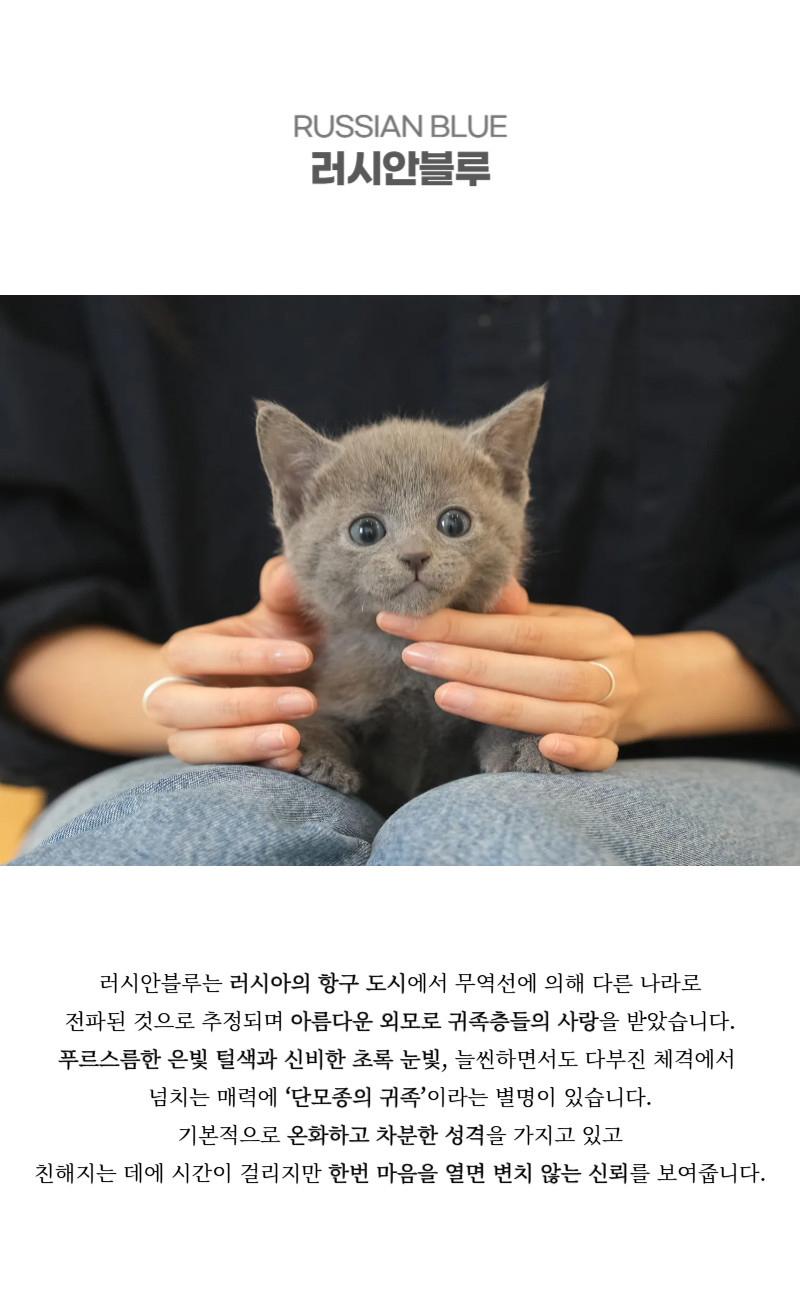 초롱이_상세이미지_2