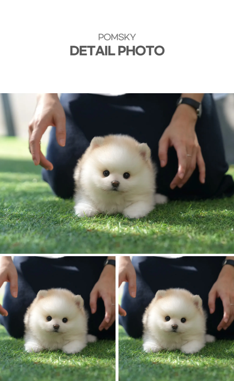 아랑이_상세이미지_4