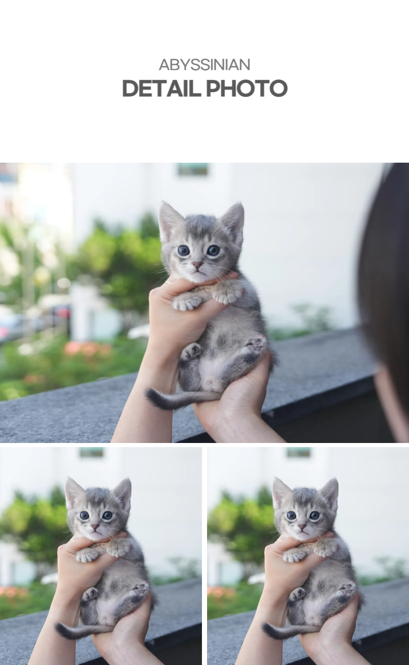 포키_상세이미지_4
