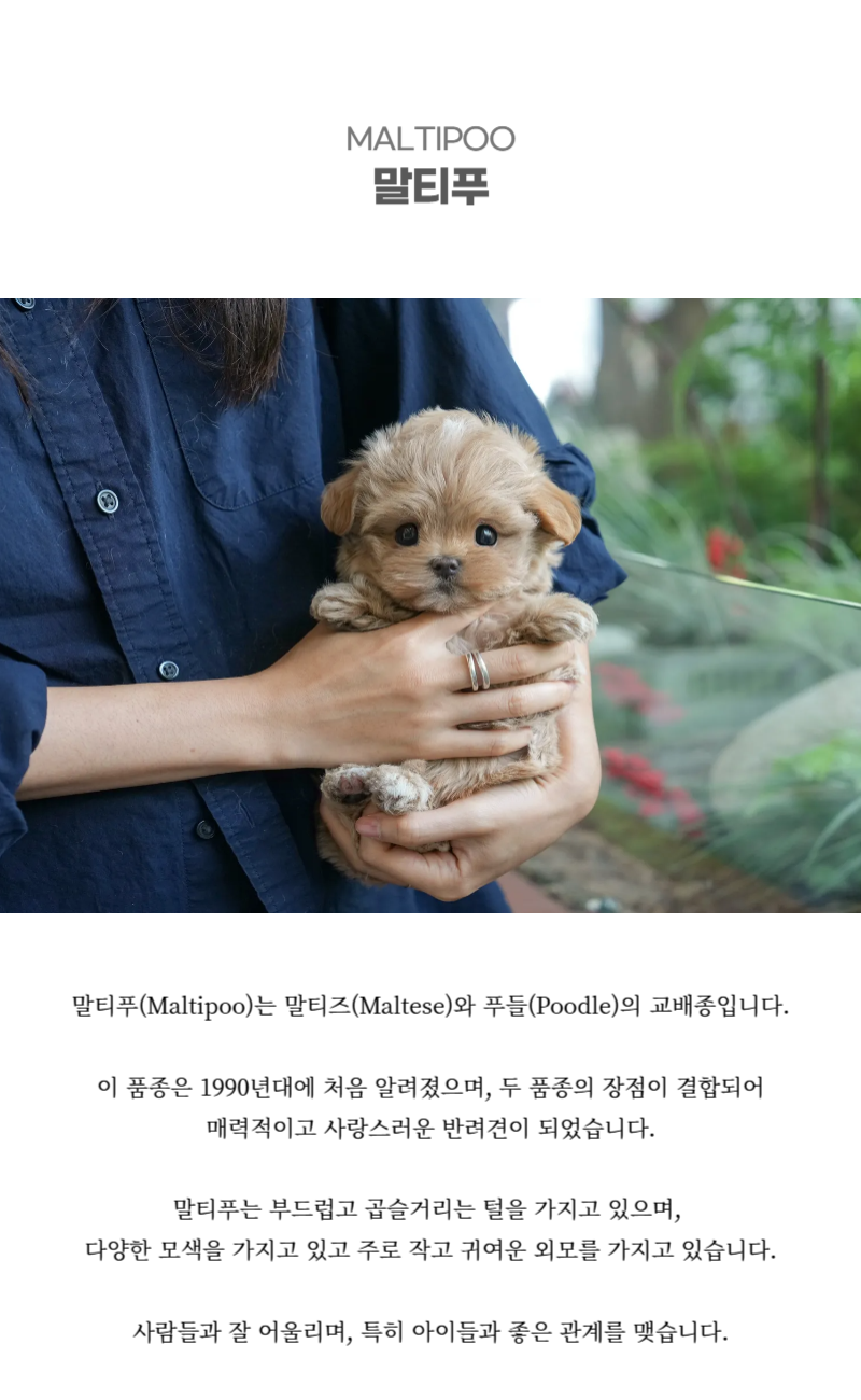 마소_상세이미지_2