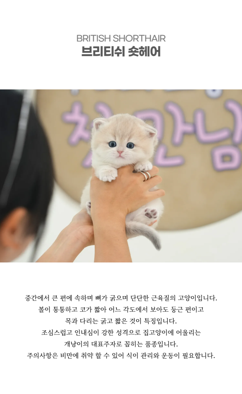 꾸링이_상세이미지_2