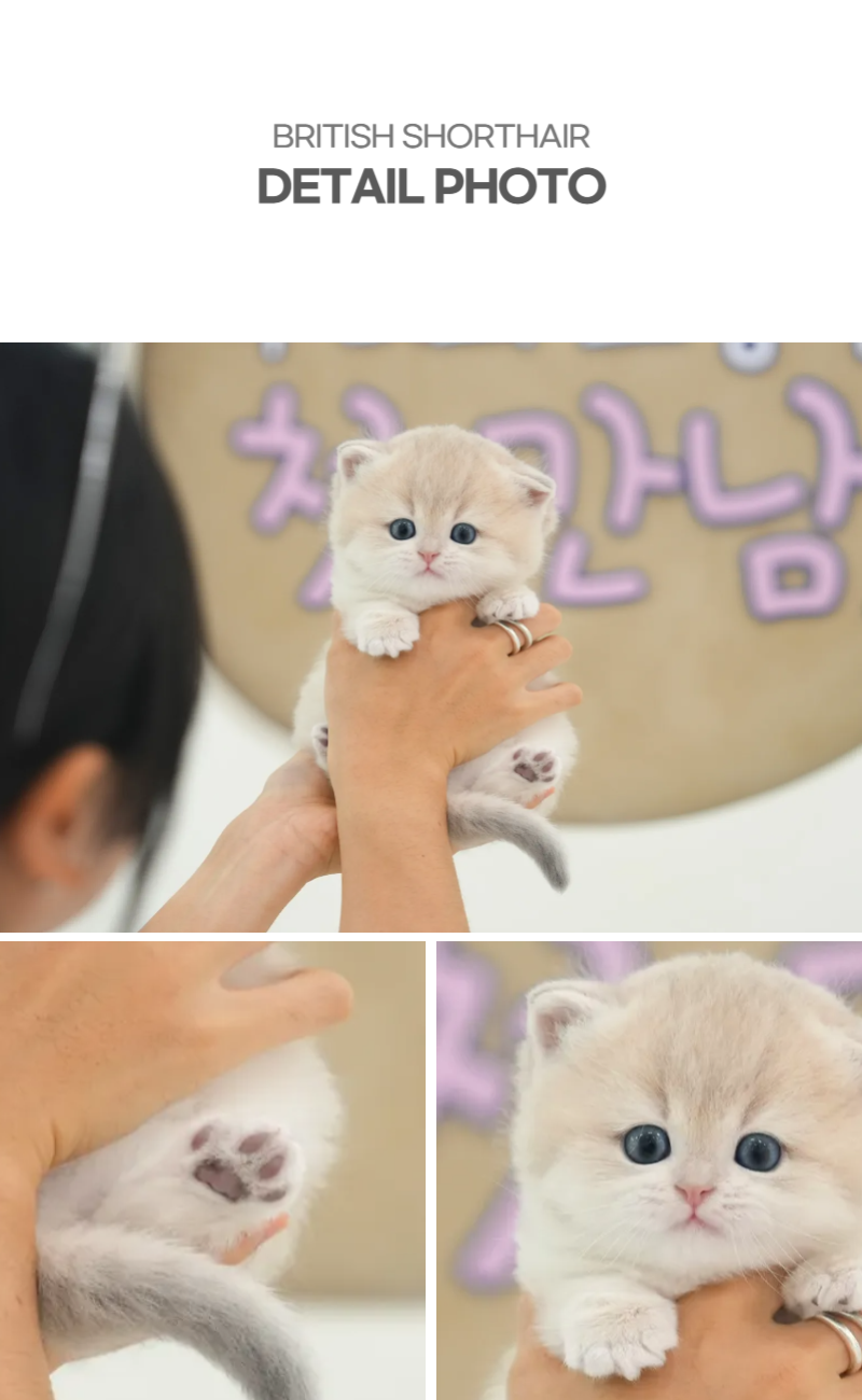 꾸링이_상세이미지_4
