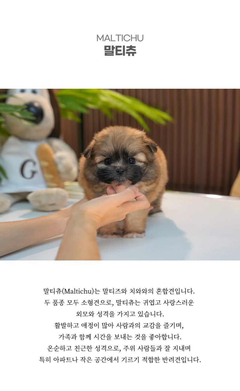 까무_상세이미지_2