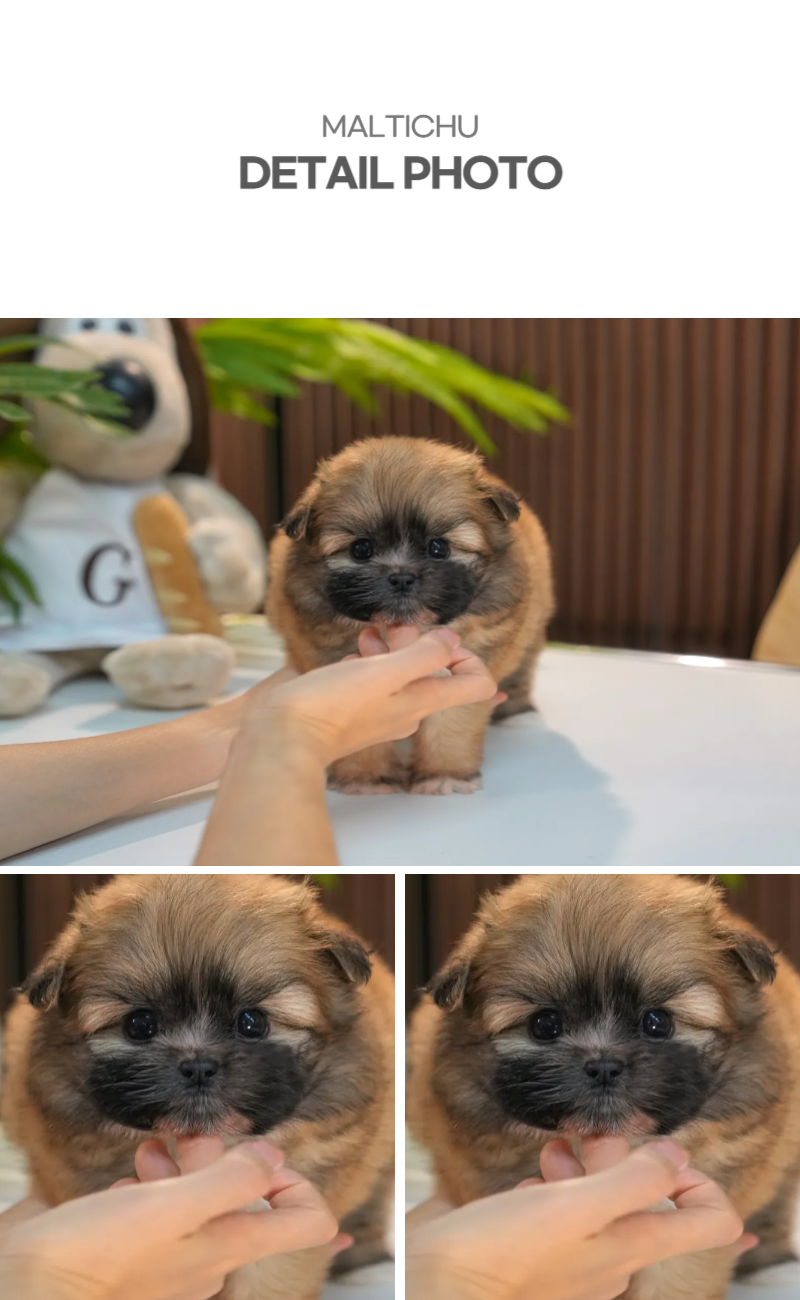 까무_상세이미지_4