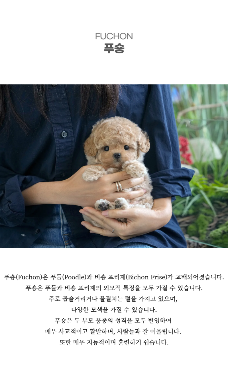 갈릭이_상세이미지_2