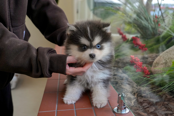 폼스키_남_행복(20) 전화.jpg