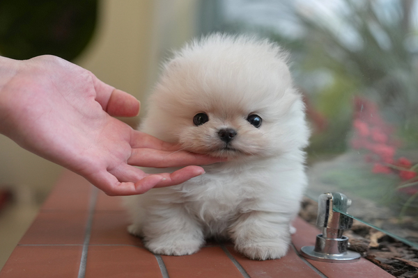 포메_남_pd네(35) 55.jpg