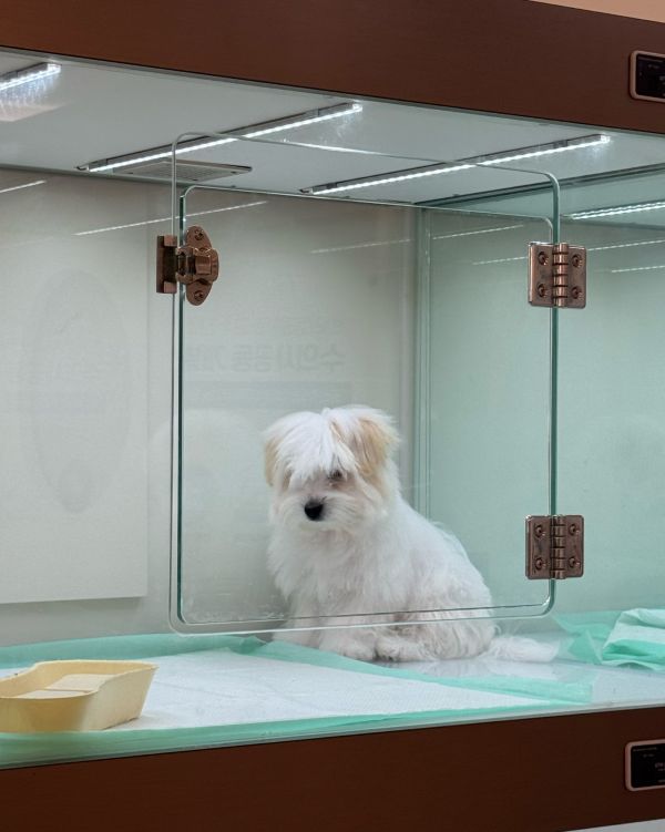 꾸리 보호자_상세페이지_1